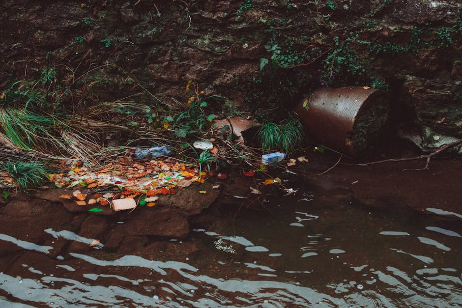 A collection of litter and waste materials is visible along the edge of a natural body of water, situated on a small, muddy shoreline. Among the debris are crumpled plastic bottles, a white foam cup, scattered food wrappers with bright colours, and small pieces of paper or packaging. The waste is partially covered by brown leaves and twigs, indicating recent dispersal. To the left, there is a patch of green grass and dried plant stems, some bending towards the water. Behind the waste, a rough, uneven rocky surface with a dark, reddish-brown hue forms a backdrop, with a rusty metal pipe partially embedded and leaning against the rocks. The scene appears to be outdoors, possibly near a natural or semi-natural environment, where waste has been disposed of illegally or fallen from nearby. The lighting is natural, with soft shadows suggesting an overcast sky. Such visible waste accumulation highlights challenges in local rubbish removal and emphasizes the importance of responsible disposal and possible private clearance services offered by Waste Clearance Greenwich in managing environmental cleanliness.